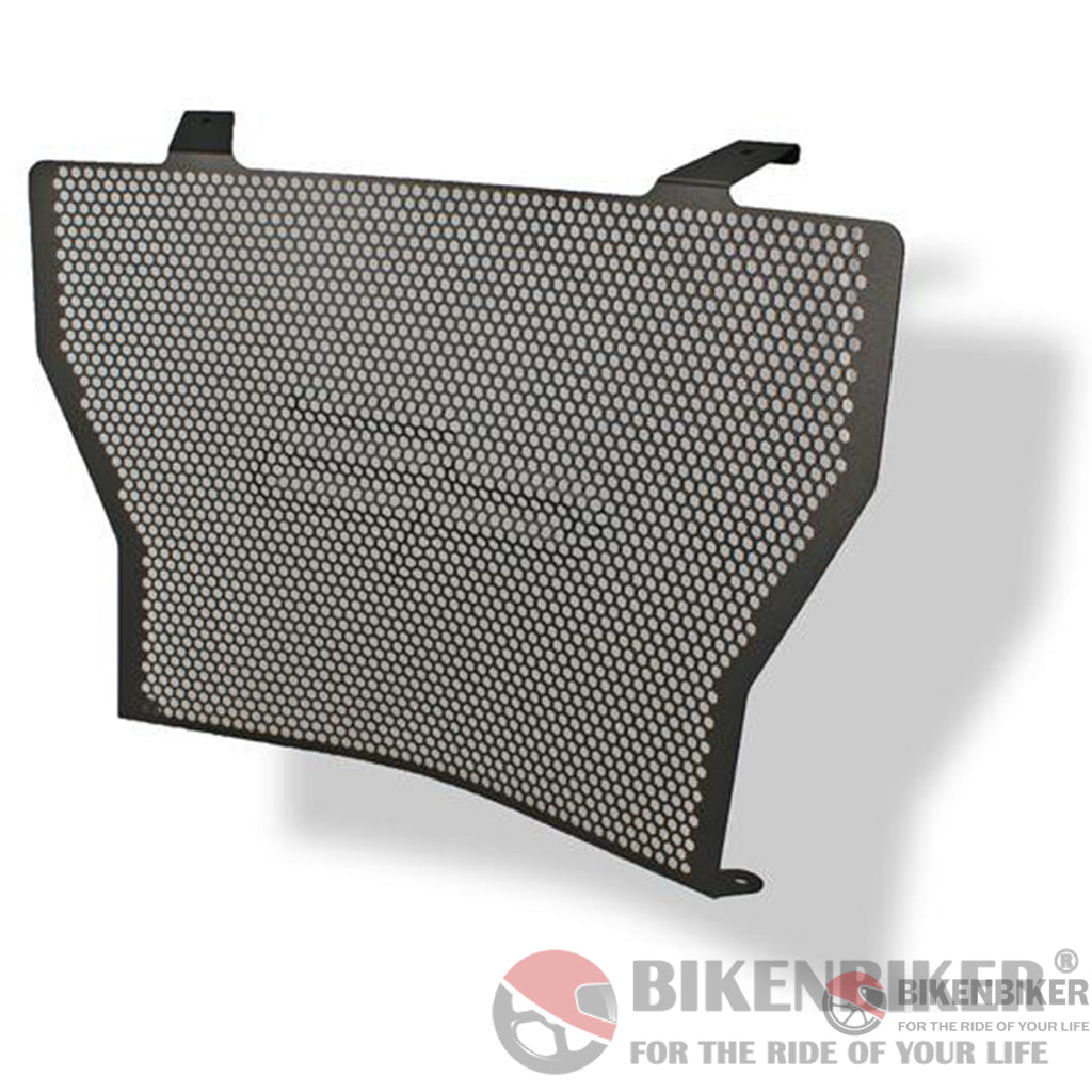 Bmw S 1000 R/Rr/Xr Radiator Guard 2010 +