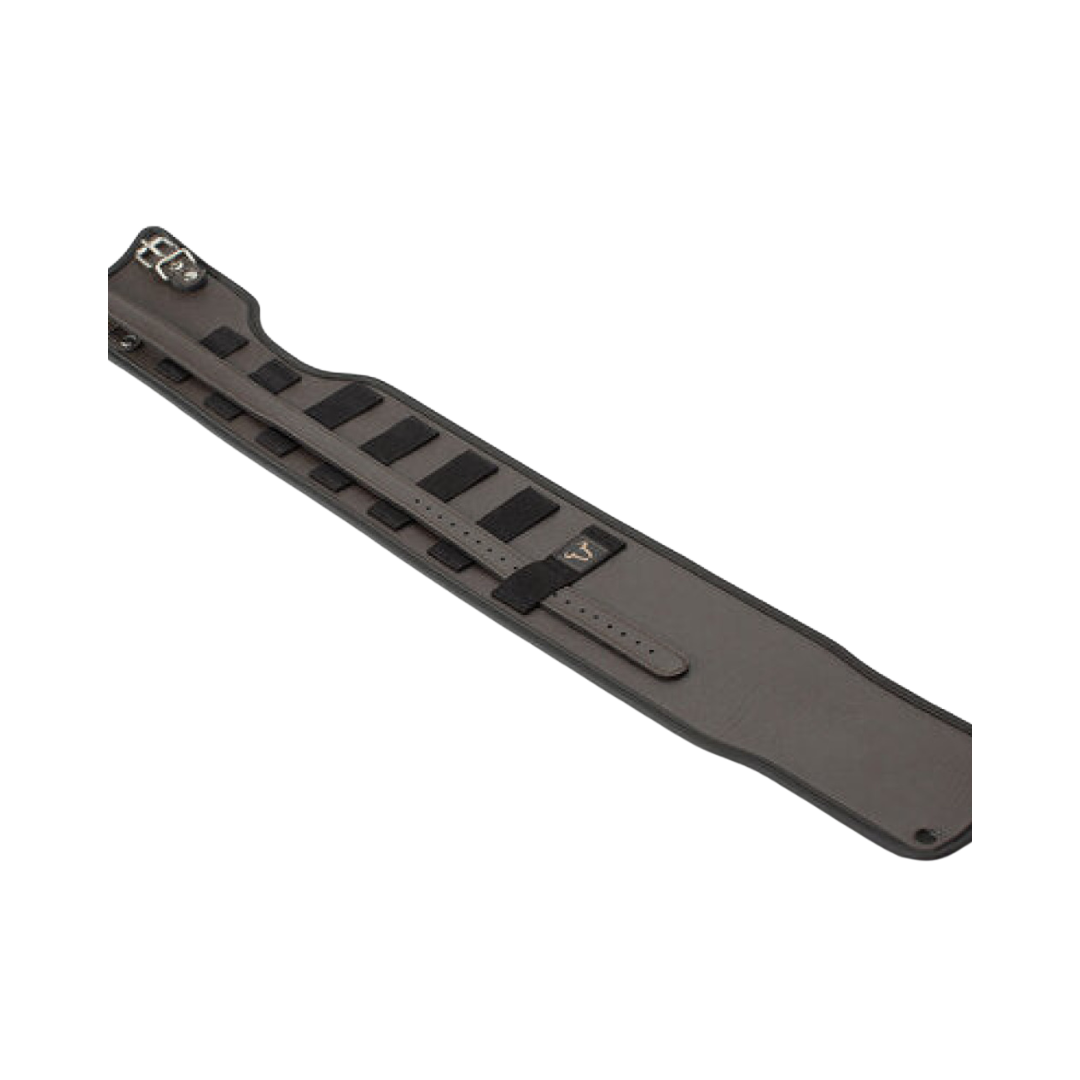 Triumph Bonneville/Thruxton लगेज - लेजेंड गियर टैंक स्ट्रैप - SW-Motech