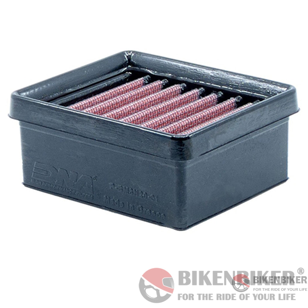 Bmw G310 R/Gs Air Filter - Dna