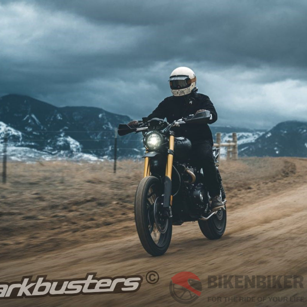 Carbon Guards - Barkbusters Protection