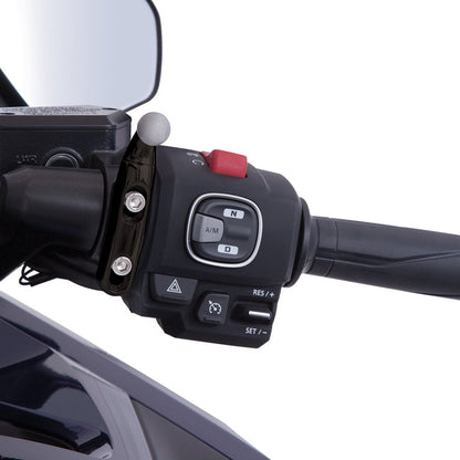 Left Or Right Accessory Perch Mount - Honda Goldwing Ciro Goldstrike Black Accessories